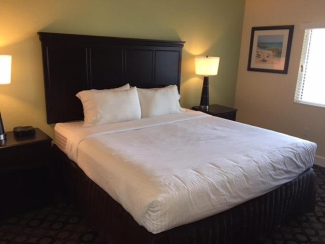 New Hotel Collection Harbourside Indian Rocks Beach Bagian luar foto